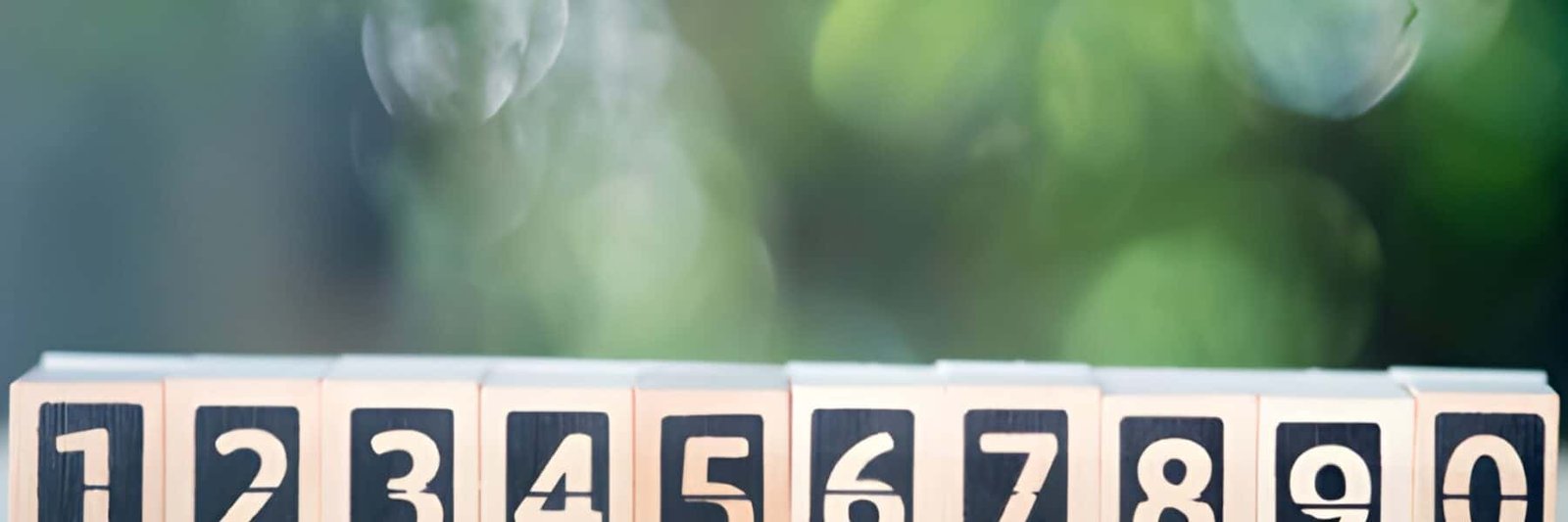 Free Name Numerology Calculator (Pythagorean & Chaldean)